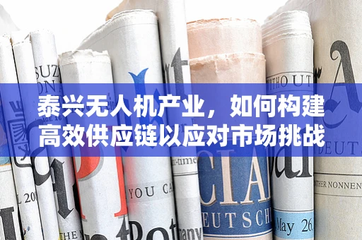 泰兴无人机产业，如何构建高效供应链以应对市场挑战？