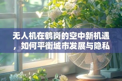 无人机在鹤岗的空中新机遇，如何平衡城市发展与隐私保护？