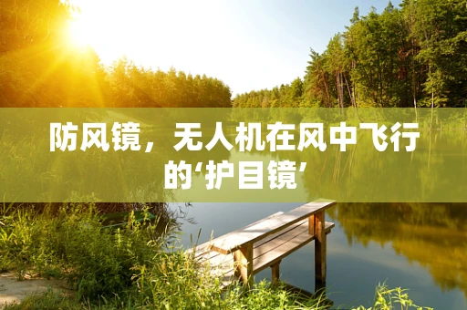 防风镜，无人机在风中飞行的‘护目镜’
