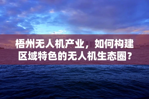 梧州无人机产业，如何构建区域特色的无人机生态圈？