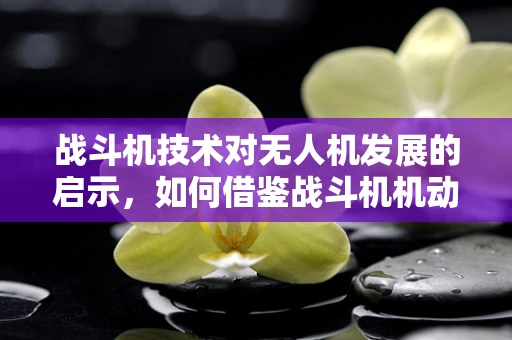 战斗机技术对无人机发展的启示，如何借鉴战斗机机动性提升无人机性能？