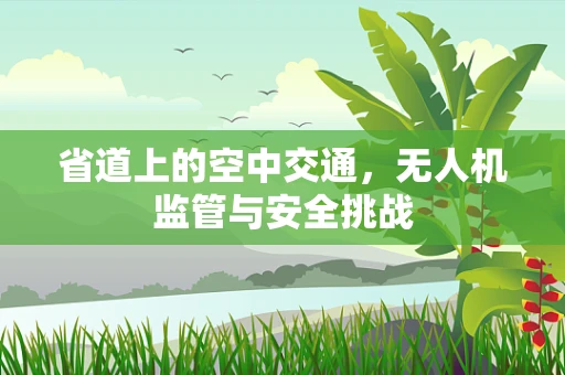 省道上的空中交通，无人机监管与安全挑战