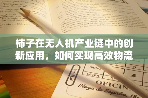柿子在无人机产业链中的创新应用，如何实现高效物流与智能监测的完美结合？