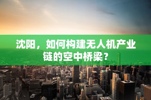 沈阳，如何构建无人机产业链的空中桥梁？