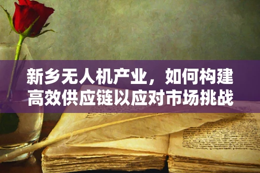 新乡无人机产业，如何构建高效供应链以应对市场挑战？