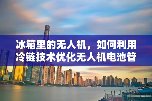 冰箱里的无人机，如何利用冷链技术优化无人机电池管理？