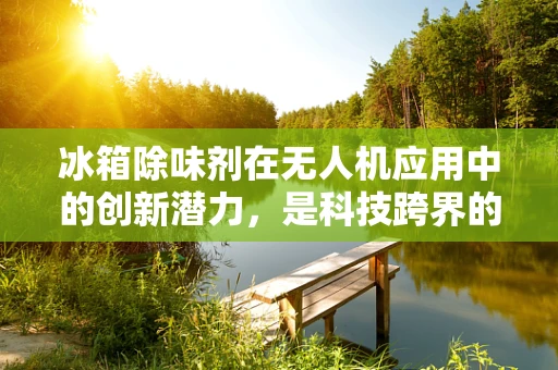 冰箱除味剂在无人机应用中的创新潜力，是科技跨界的新尝试吗？