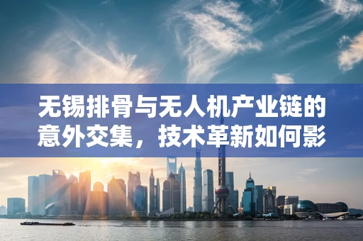 无锡排骨与无人机产业链的意外交集，技术革新如何影响食材配送？