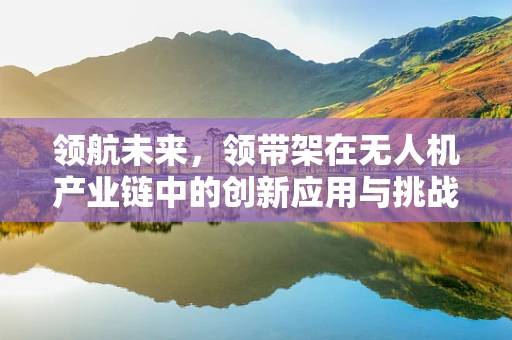 领航未来，领带架在无人机产业链中的创新应用与挑战？