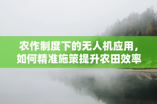 农作制度下的无人机应用，如何精准施策提升农田效率？