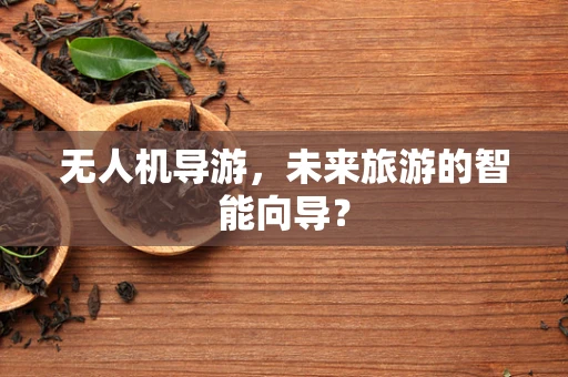 无人机导游，未来旅游的智能向导？