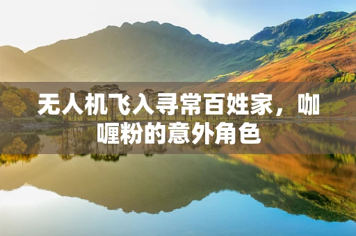 无人机飞入寻常百姓家，咖喱粉的意外角色