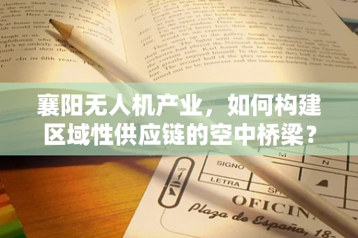 襄阳无人机产业，如何构建区域性供应链的空中桥梁？
