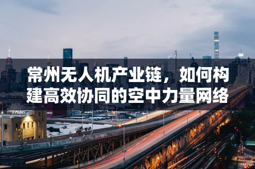 常州无人机产业链，如何构建高效协同的空中力量网络？
