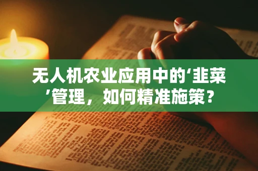无人机农业应用中的‘韭菜’管理，如何精准施策？