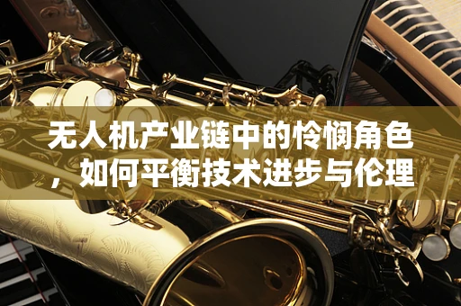 无人机产业链中的怜悯角色，如何平衡技术进步与伦理考量？