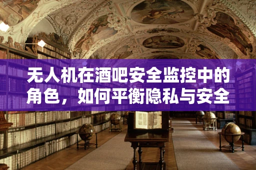 无人机在酒吧安全监控中的角色，如何平衡隐私与安全？