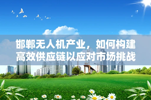 邯郸无人机产业，如何构建高效供应链以应对市场挑战？