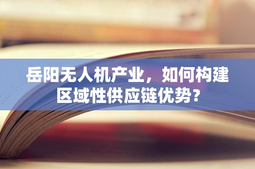 岳阳无人机产业，如何构建区域性供应链优势？