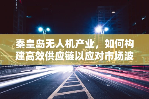 秦皇岛无人机产业，如何构建高效供应链以应对市场波动？
