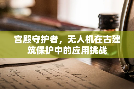 宫殿守护者，无人机在古建筑保护中的应用挑战