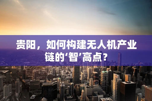 贵阳，如何构建无人机产业链的‘智’高点？