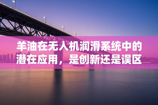 羊油在无人机润滑系统中的潜在应用，是创新还是误区？