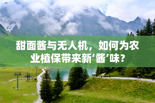 甜面酱与无人机，如何为农业植保带来新‘酱’味？