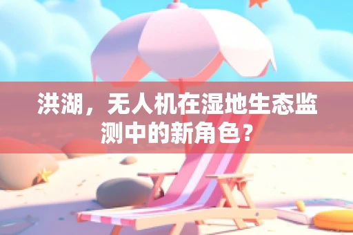 洪湖，无人机在湿地生态监测中的新角色？