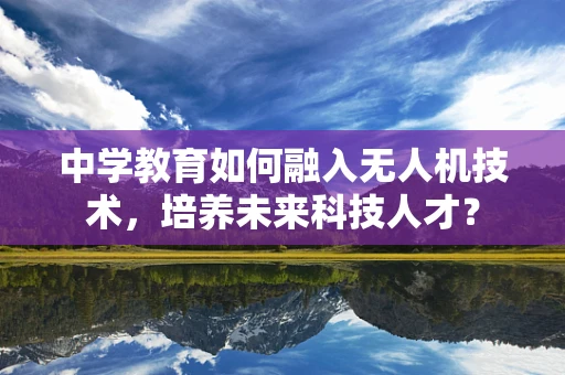 中学教育如何融入无人机技术，培养未来科技人才？