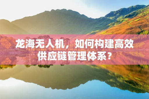 龙海无人机，如何构建高效供应链管理体系？