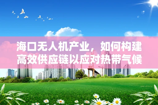 海口无人机产业，如何构建高效供应链以应对热带气候挑战？