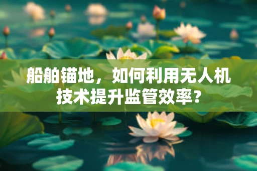 船舶锚地，如何利用无人机技术提升监管效率？