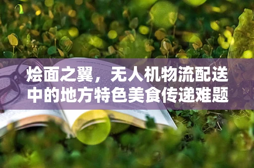 烩面之翼，无人机物流配送中的地方特色美食传递难题