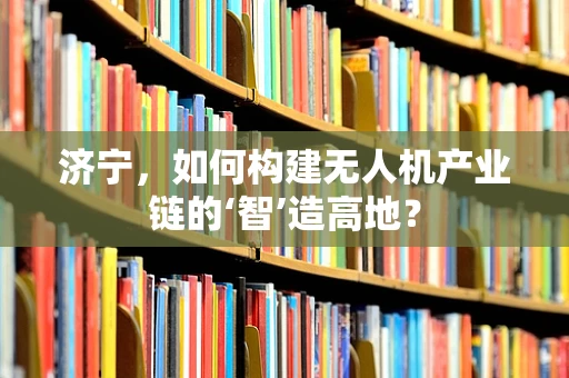 济宁，如何构建无人机产业链的‘智’造高地？