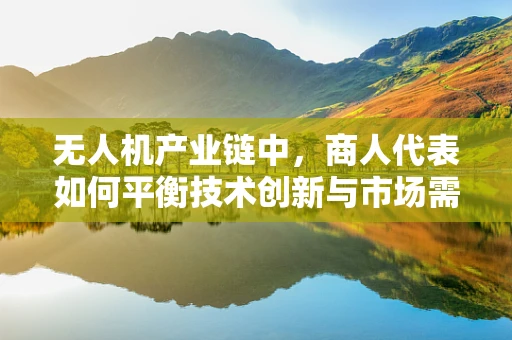 无人机产业链中，商人代表如何平衡技术创新与市场需求？