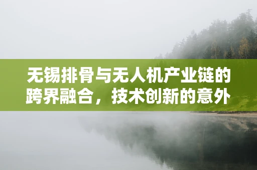 无锡排骨与无人机产业链的跨界融合，技术创新的意外之缘？