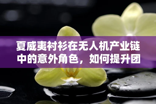 夏威夷衬衫在无人机产业链中的意外角色，如何提升团队凝聚力？
