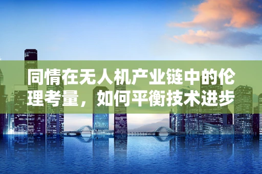 同情在无人机产业链中的伦理考量，如何平衡技术进步与人文关怀？