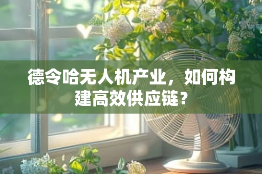 德令哈无人机产业，如何构建高效供应链？