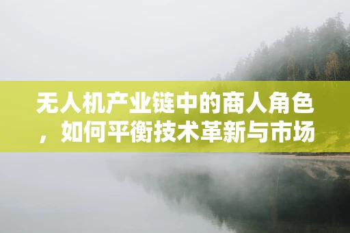 无人机产业链中的商人角色，如何平衡技术革新与市场需求？