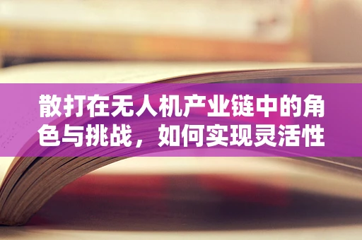 散打在无人机产业链中的角色与挑战，如何实现灵活性与效率的平衡？