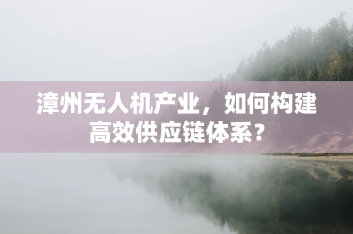 漳州无人机产业，如何构建高效供应链体系？