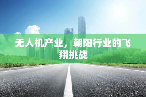 无人机产业，朝阳行业的飞翔挑战