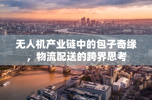 无人机产业链中的包子奇缘，物流配送的跨界思考