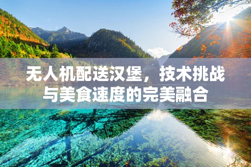 无人机配送汉堡，技术挑战与美食速度的完美融合