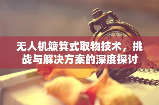无人机簸箕式取物技术，挑战与解决方案的深度探讨