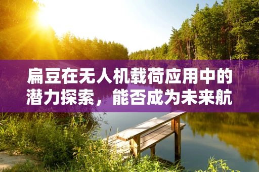 扁豆在无人机载荷应用中的潜力探索，能否成为未来航拍的新宠？