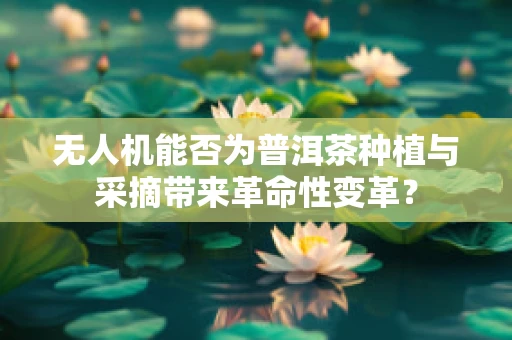 无人机能否为普洱茶种植与采摘带来革命性变革？