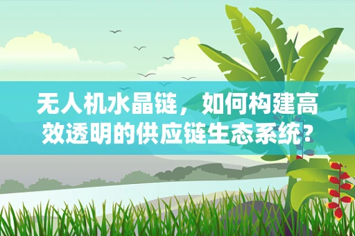 无人机水晶链，如何构建高效透明的供应链生态系统？